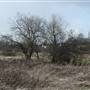 South Norwood Country Park