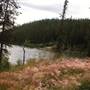Long Lake Summer