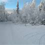 Mary Lake Area