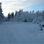 Mary Lake Area