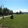 Rotary Park