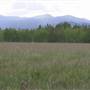 Smith's Hay Field