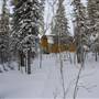 Yukon Forest Cabins