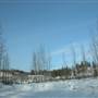 Yukon Wildlife Preserve