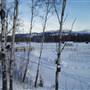 Winter Farms