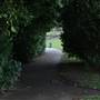 Poverest Park