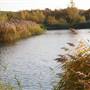 Bedfont Lakes Country Park
