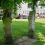 Turnham Green