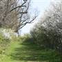 Gunpowder Park