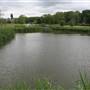 Heybourne Park Pond