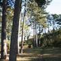 Scratchwood Nature Reserve
