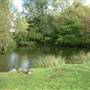 Totteridge Ponds