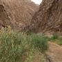 Wadi Tayyib Al Ism - وادي طيب اسم