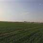 Green Circular Farms - Meegowa  - المزارع الدائرية الخضراء - ميقوع