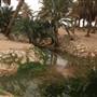 Well of Moses - عين موسى
