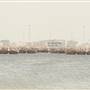 Traditional Fishing Boat Harbour - Al Qatif Corniche - ميناء قوارب الصيد التقليدية - كورنيش القطيف