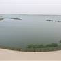 Asfar Lake - بحيرة الأصفر - الأحساء