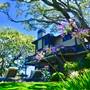 Treetops Novato