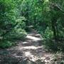 Tribble Mill Park