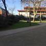 Dovehouse Green