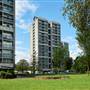 Brandon Estate