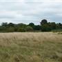 West Hendon Playing Fields