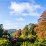 Trebah Gardens