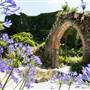 Tresco Abbey Gardens
