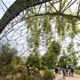 The Eden Project
