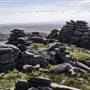 Rough Tor