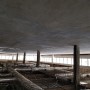 Swanky Corporate Space
