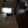 Funky Vintage Apartment