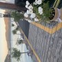 Boat Dock and Deck in Tiburon