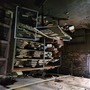 Basement for Crazies