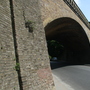 Thicket Road