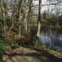 West Wickham Common and Hayes Common