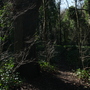 West Wickham Common and Hayes Common