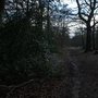 West Wickham Common and Hayes Common