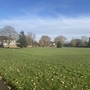 Alexandra recreation ground