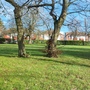 Crease Park