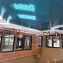 Billionaire's Playhouse