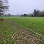 Bethune Park