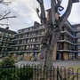 York House Estate