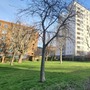 Roscoe Street Estate
