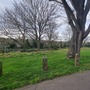 Peabody Hill Estate