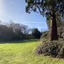 Kingston University - Coombehurst House