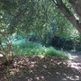 Martins Hill Open Space