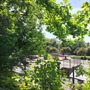 Church House Gardens