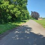 Norman Park