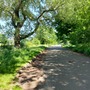 Norman Park